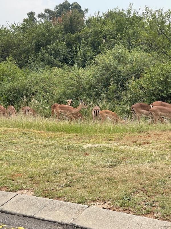 3 Bedroom Property for Sale in Heron Banks Golf Estate Free State